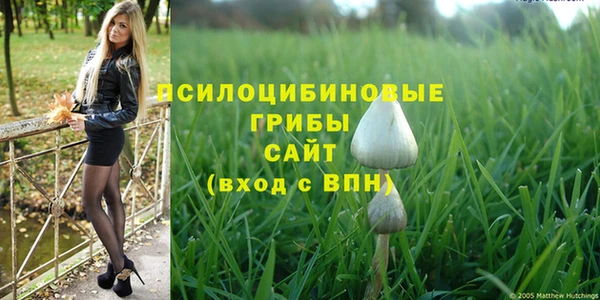 альфа пвп Богданович