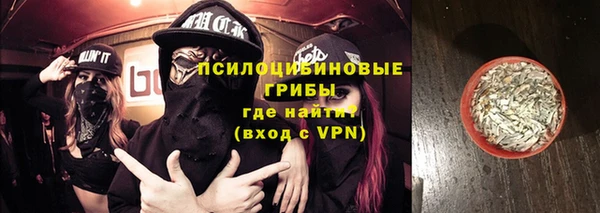 прущие крисы Белокуриха