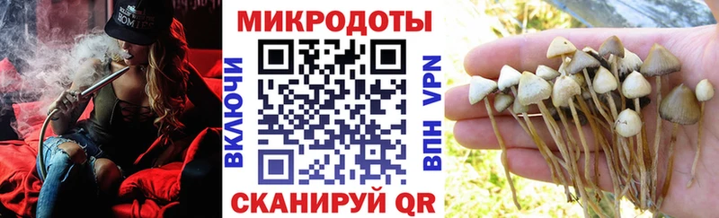 Псилоцибиновые грибы MAGIC MUSHROOMS купить цена Верхняя Тура